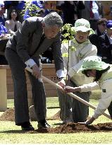 Emperor takes part in tree-planting festival